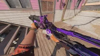 Dark Matter Bullfrog