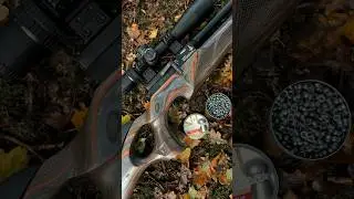 Discover the Wilderness Edition. Meet the BSA R12 CLX Pro Air Rifle