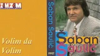 Saban Saulic - Hocu s tobom parce raja - (Audio 1995)