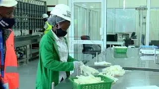 National Drug Authority supports local pharmaceutical manufacturers as move to improve quality