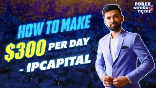 How To Make $300 Per Day - IPCapital