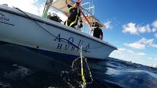 Aqua Hunter Lobster Diving and Spearfishing  - Nov. 2018