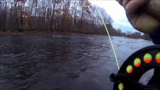 EPIC FIGHT WITH A SALMON RIVER STEELHEAD
