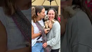 4 Dogs Adopted at Our Latest Event!