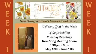 Audacious Faith - Believing God in the Face of Impossibility (Part 1 of 6)