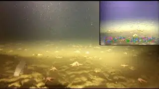 Testing the towed camera at 1250' depth.