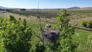 Biodiversity and Balance: The Natural Harmony of HABLA Wines