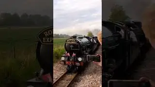 RHDR Quadruple Parrelell run. #railway #train