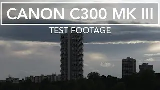 Canon C300 Mark III (3) | Testfootage | Dual Gain Output