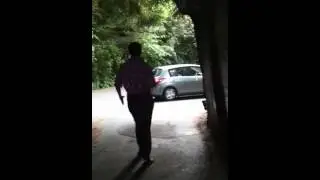 Tour thru tree