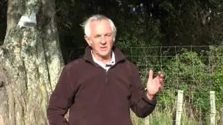 Possum Control Programme-1 million hectares