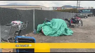 Ветеринарная больница Келоуны на грани банкротства: пожары, вандализм и ежедневная опасность
