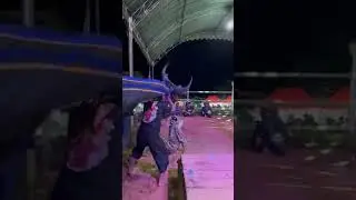macan Tarung#macan #macananpalingseram #macanan
