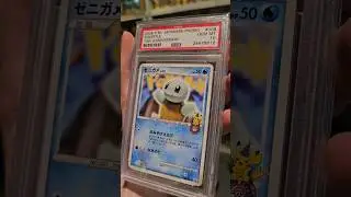 Sidste Squirtle Pokemon kort til samlingen! #danskyoutube #pokemonkort #pokemon #pokemoncards