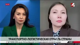 Transport and logistics industry. Asem Mukhamedieva