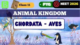 🦩 BIRDS 🦜 Class - AVES Animal Kingdom Class 11 | NEET  #aves #birds #animalkingdomclass11