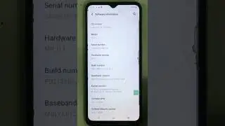 Vivo developer option setting
