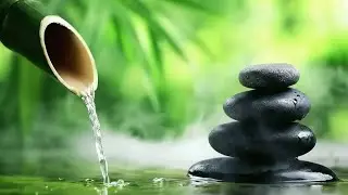 Nature Water Sound for Relaxation🎶Beautiful Piano Music | 自然の音とともに音楽をリラックス バンブーウォーターファウンテン 【癒し音楽BGM】