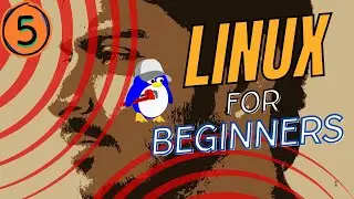 File permission in linux | rwx (symbolic format) | Basic | Part-1