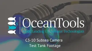 C3-10 800TVL