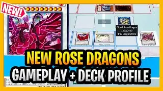 New Blood Rose Dragon Archetype YuGiOh Rose Dragon Deck 2021 Gameplay And Deck Profile