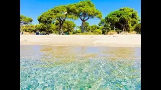 Greek Goes Keto - Reportage from Marathon, Greece