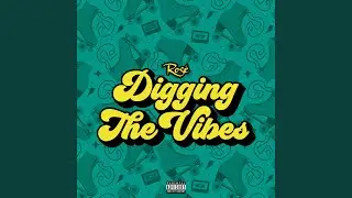 Digging The Vibes