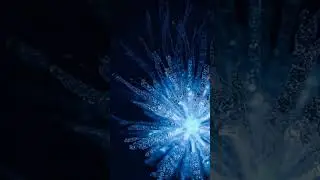 Crystal Ice Fractals | Oddly Satisfying AI Loop