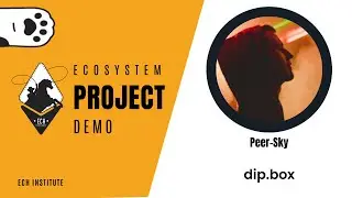 DIP Box: A New Era for Blockchain Governance with Tim Pechersky | EPD #25