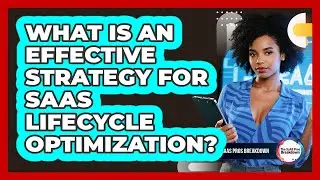 What Is An Effective Strategy For SaaS Lifecycle Optimization?