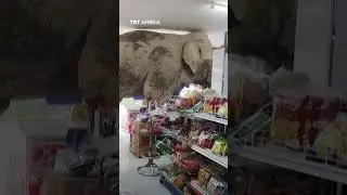 Elephant Caught Raiding Store Snack In Thailand #trtafrika #animals #elephants