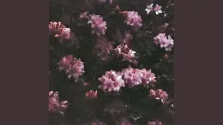 April Uprising