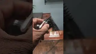 Andis Revite with Whal Legend Blade. 💈