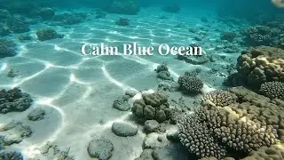 Calm Blue Ocean | Cinematic Ocean Music for Deep Relaxation & Sleep