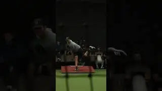 Zack Britton Sinker/Slider Overlay