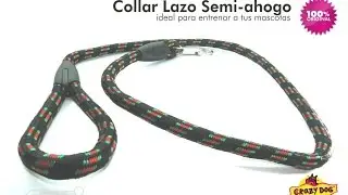 ✨ Lazo de Semi-Ahogo para adiestramiento canino, correa  aPreciosdeRemate