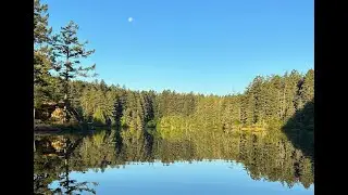 Thetis Lake Summer '25