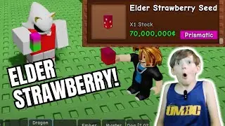 We Got the Elder Strawberry in Grow a Garden Roblox!