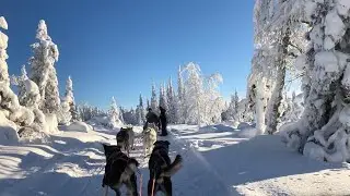 Lapland Ruka Kuusamo Finland Voigt Travel Husky Snowmobile Reindeer Iisaki Moniek de Groot