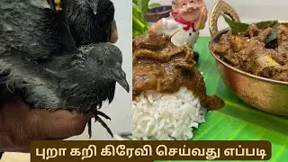 புறா கறி மிளகு கிரேவி செய்வது எப்படி என்று பார்க்கலாம் |Dove Pepper Gravy Recipe | Pura Gravy Tamil
