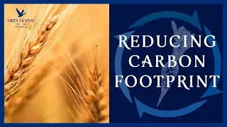 Reducing Our Carbon Footprint | Sustainability | Grey Goose Vodka