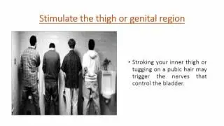 Stimulate the thigh or genital region