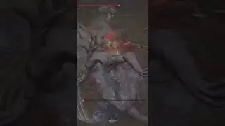 Executor Duo Shreds Outland Commander 💀 | Rivers of Blood #Nightreign #Shorts