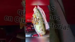 TAMAULIPAS 5 COSAS QUE AMAMOS DE CIUDAD VICTORIA  😍