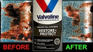 Valvoline Restore & Protect REVIEW (AFTER 1,700 MILES)
