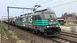 44525 Anvers Nord - Gremberg 186 255 Lineas 