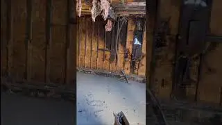 Fire Damage