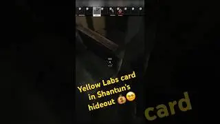 Yellow Labs Card and Bitcoin...💰🙏 #escapefromtarkov #tarkov #eft #gaming #gamingshorts