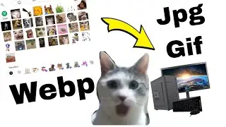 Como tener STICKERS de WHATSAPP en pc FACIL Y RAPIDO 🔥🔥