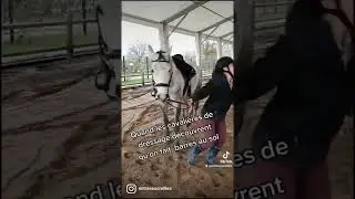 REPOST DU 25/01/2021 #entresesoreilles #cheval #equitation #humour